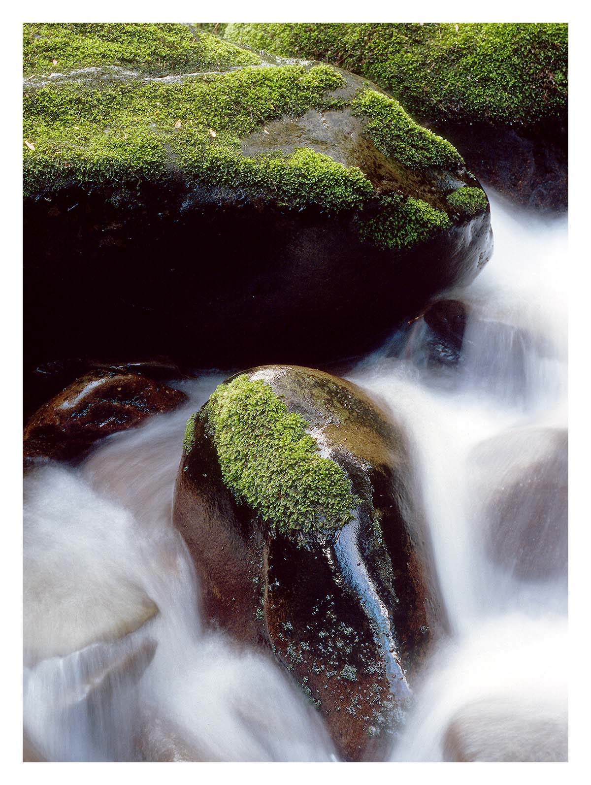 Smoky Mountains NP